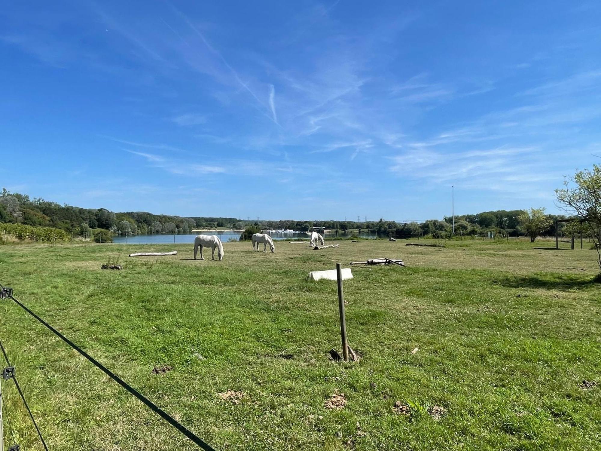 Chambre Climatisee, Entre Paris Disneyland, Au Coeur Des Jeux Olympiques Canoe-Kayak, Vaires-sur-Marne Екстериор снимка